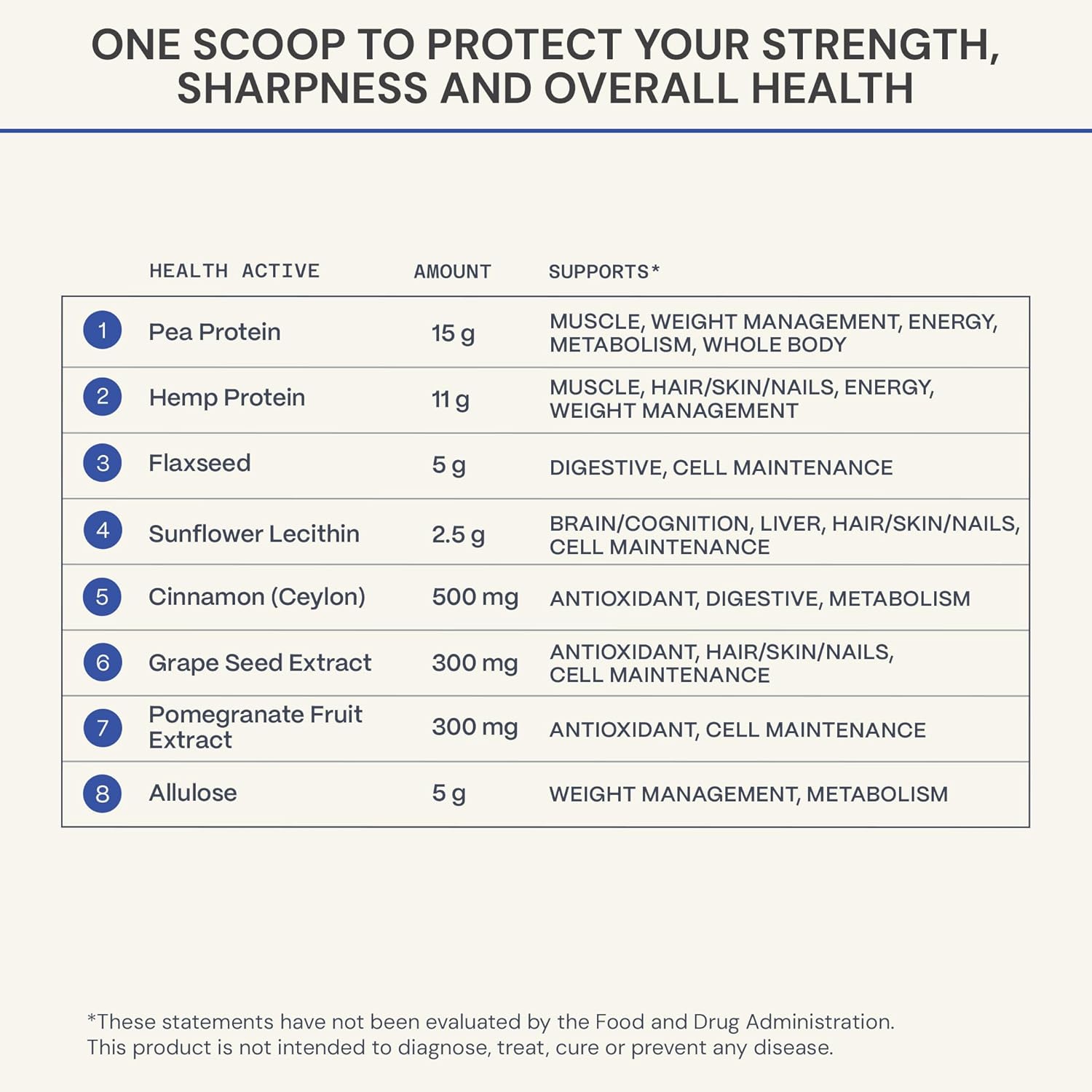 Blueprint Bryan Johnson Chocolate Protein Powder – Vegan Plant-Based Supplement with Cocoa Powder – Clean Ingredients – 26g Protein per Serving – Non-GMO – 30 Servings