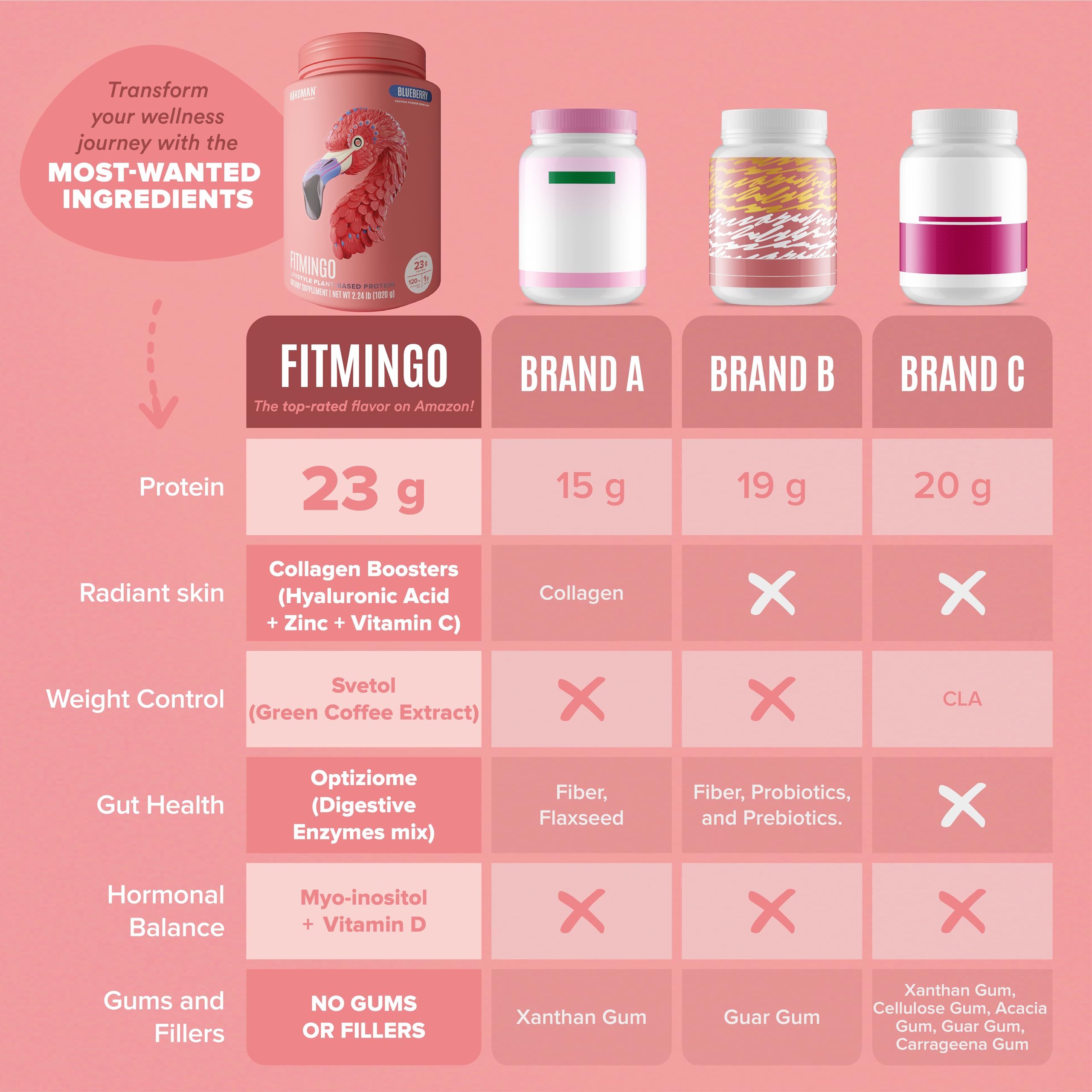 Fitmingo Vegan Protein Powder with Inositol, Collagen Boosters, Hyaluronic Acid and Vitamins | Low Carb, Dairy Free, Low Calorie | 23g Plant Based Blueberry Protein Powder with Myo-Inositol