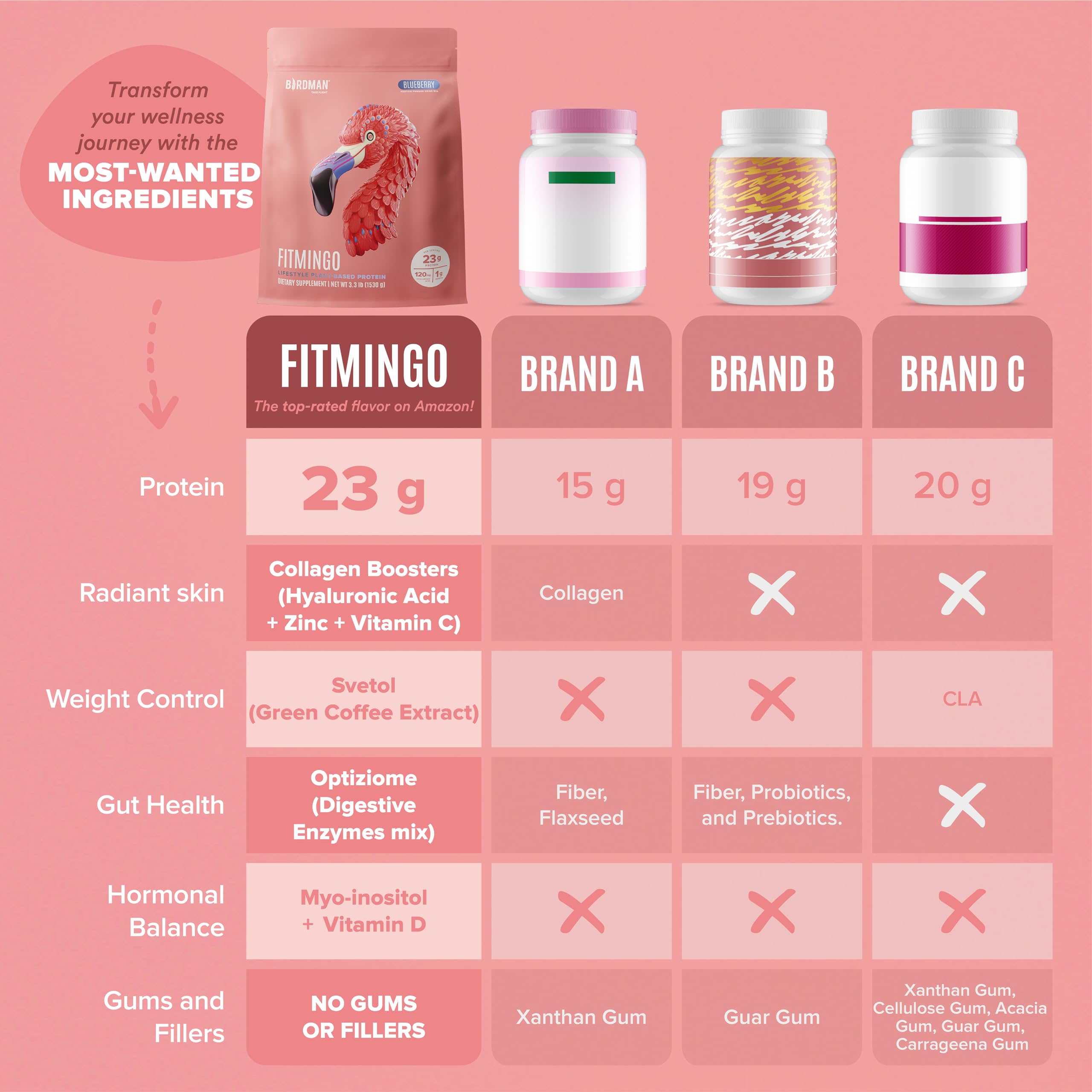 Fitmingo Vegan Protein Powder with Inositol, Collagen Boosters, Hyaluronic Acid and Vitamins | Low Carb, Dairy Free, Low Calorie | 23g Plant Based Blueberry Protein Powder with Myo-Inositol