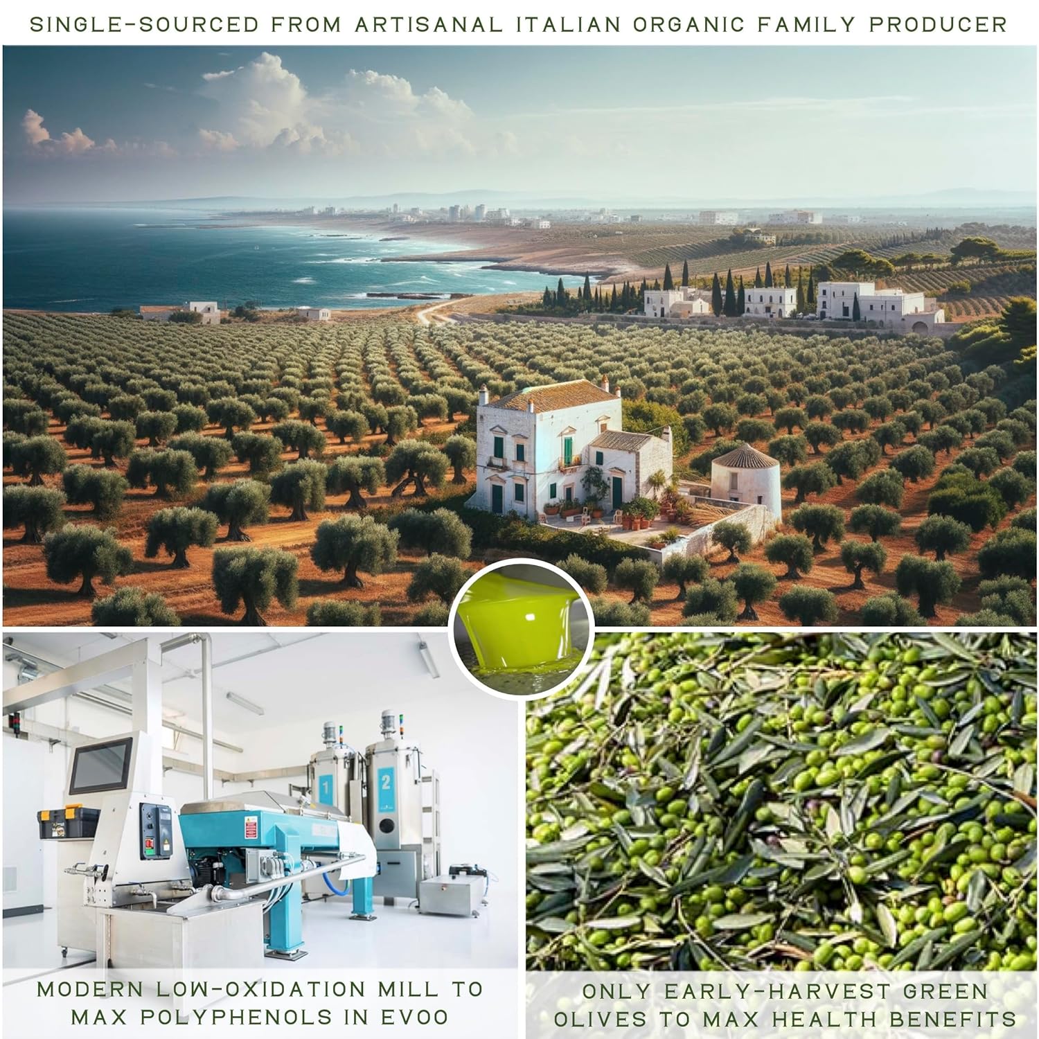 WellEatable Robust +1,200 mg/kg Polyphenol Rich Olio Italiano, New 2024-2025 Early Harvest Organic Extra Virgin Olive Oil from Italy, Lab Tested, Cold Extracted for Drinking and Finishing, 16.9 fl oz
